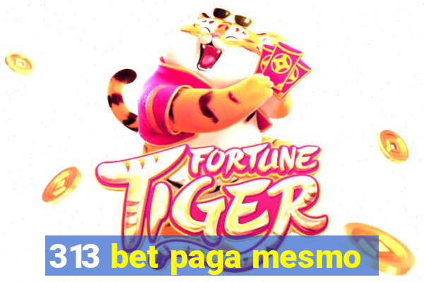 313 bet paga mesmo